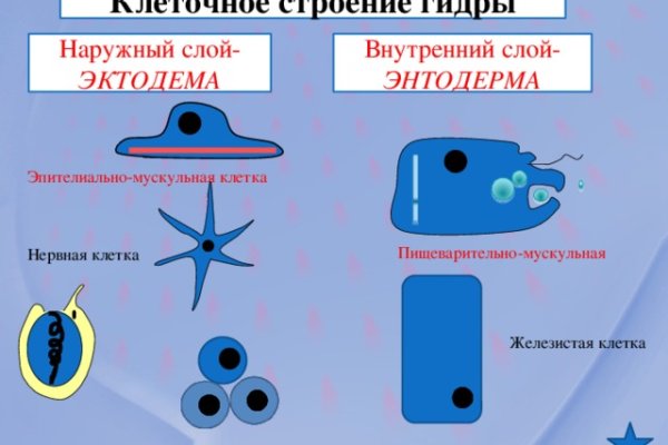 Ссылка на кракен реальная