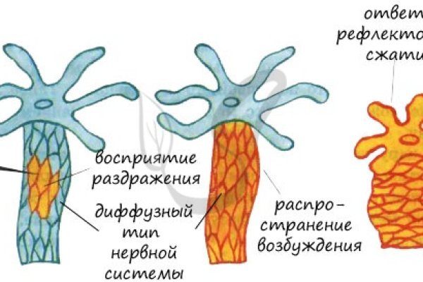 Кракен даркнет форум